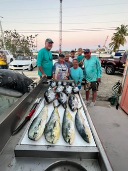 Blackfin Tuna, Mahi Mahi Fishing in Marathon, Florida