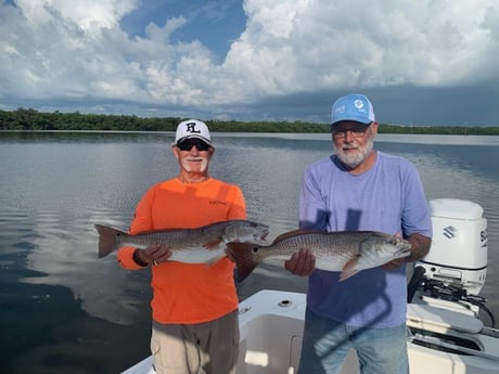 Redfish Fishing in Bradenton, Florida