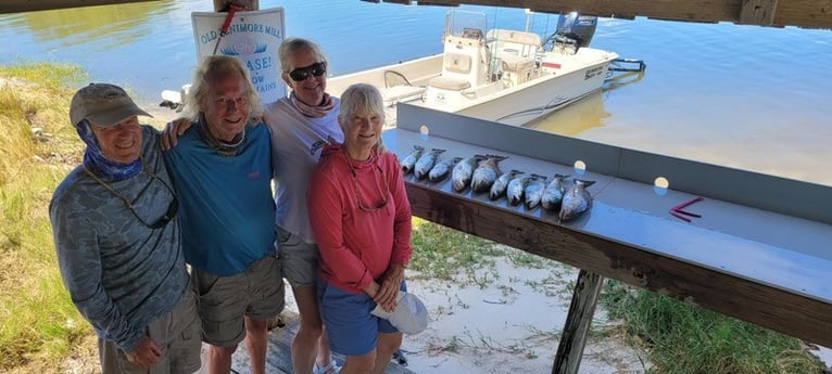 Bluefish, Redfish Fishing in Cedar Key, Florida