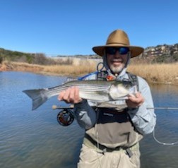 Striped Bass fishing in Granbury, Texas