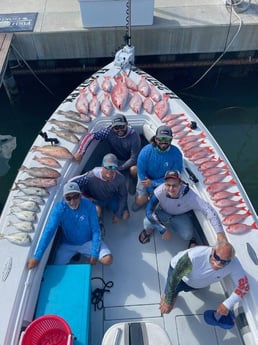 Red Grouper, Red Snapper, Scamp Grouper, Scup, Vermillion Snapper Fishing in Clearwater, Florida