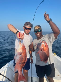 Red Snapper Fishing in Dauphin Island, Alabama