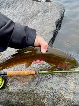Fishing in Hume, California