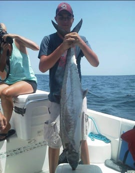 Kingfish Fishing in Panama City, Florida