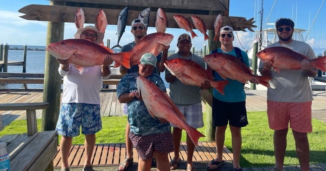 Little Tunny / False Albacore, Red Snapper fishing in Gulf Shores, Alabama