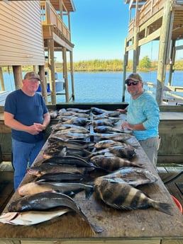 Blue Catfish, Sheepshead, Speckled Trout / Spotted Seatrout Fishing in Slidell, Louisiana