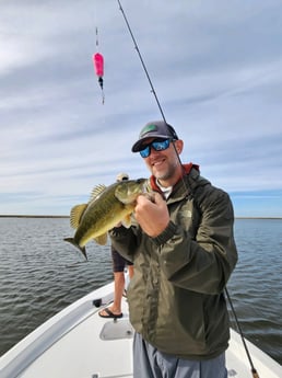 Largemouth Bass Fishing in Yscloskey, Louisiana