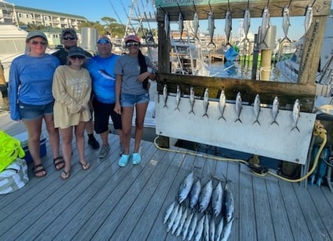 False Albacore, Spanish Mackerel Fishing in Destin, Florida