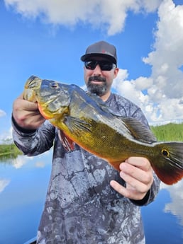 Peacock Bass Fishing in Fort Lauderdale, Florida