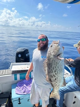 Gag Grouper Fishing in Port Orange, Florida
