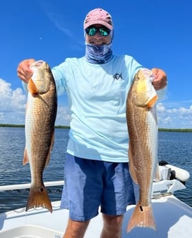 Redfish fishing in Placida, Florida
