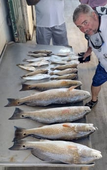 Redfish, Speckled Trout / Spotted Seatrout fishing in Dickinson, Texas