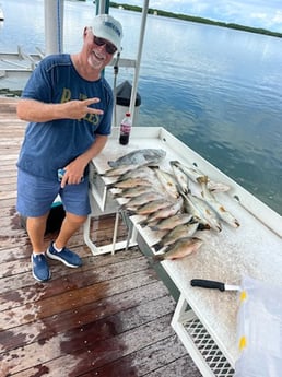 Mangrove Snapper, Speckled Trout, Tripletail Fishing in Islamorada, Florida