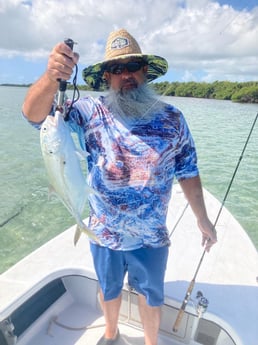 Jack Crevalle fishing in Summerland Key, Florida