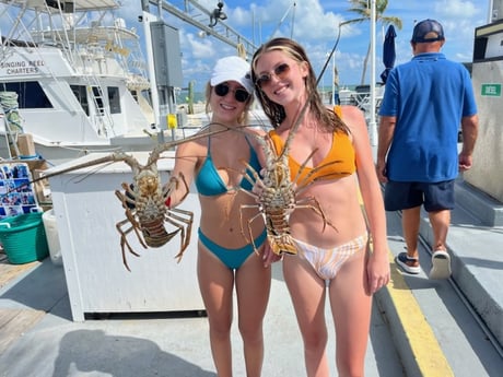 Lobster fishing in Islamorada, Florida