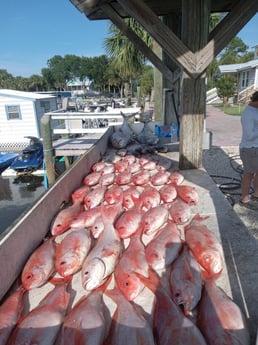 African Pompano, Amberjack, Red Snapper, Vermillion Snapper Fishing in Fernandina Beach, Florida