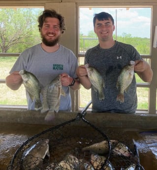 Crappie, Tilapia fishing in Zapata, Texas