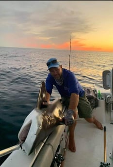 Blacktip Shark Fishing in Fort Walton Beach, Florida