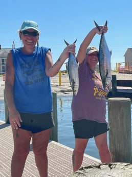 Spanish Mackerel fishing in Gulf Shores, Alabama
