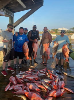 Amberjack, Red Grouper, Red Snapper, Scup Fishing in Gulf Shores, Alabama