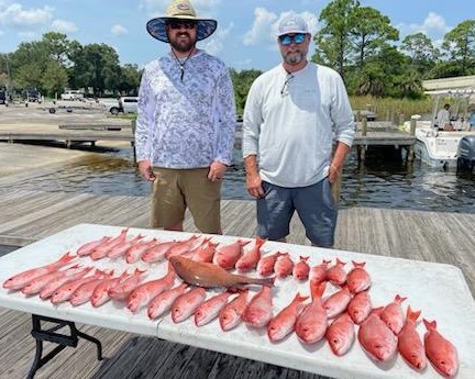 Mangrove Snapper, Vermillion Snapper Fishing in Pensacola, Florida