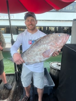 Red Grouper Fishing in Clearwater, Florida