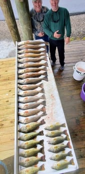 Redfish, Smallmouth Bass fishing in Saint Bernard, Louisiana