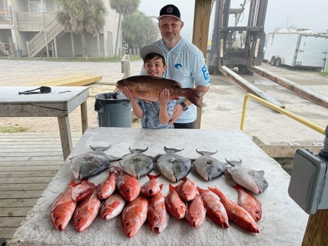 Cubera Snapper, Triggerfish, Vermillion Snapper Fishing in Pensacola, Florida