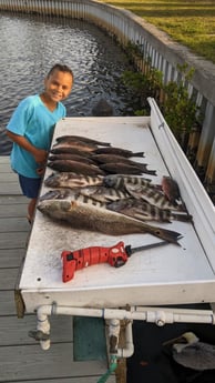 Mangrove Snapper, Redfish, Sheepshead Fishing in St. Petersburg, Florida