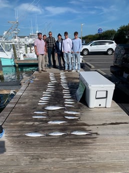 Bonito, Little Tunny / False Albacore, Spanish Mackerel Fishing in Manteo, North Carolina