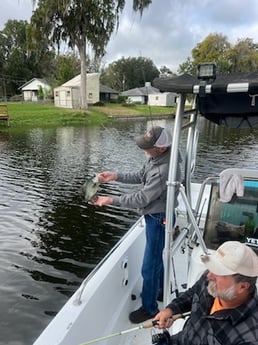 Crappie Fishing in Crystal River, Florida