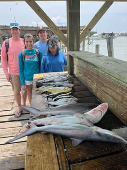 Black Drum, Blacktip Shark, Florida Pompano Fishing in Galveston, Texas