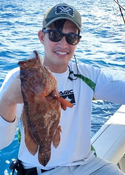 Red Grouper fishing in Mount Pleasant, South Carolina
