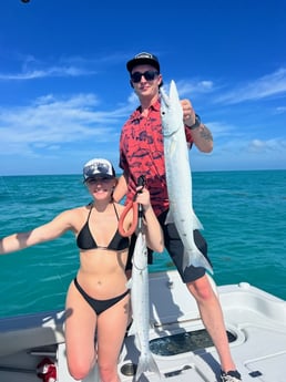 Barracuda Fishing in Key West, Florida