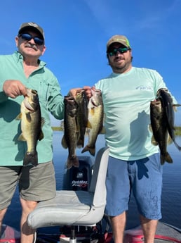 Largemouth Bass Fishing in Lake Okeechobee, Florida