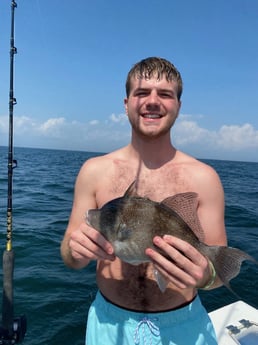 Triggerfish Fishing in Pensacola, Florida