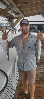 Spanish Mackerel Fishing in Orange Beach, Alabama