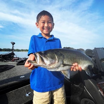 Largemouth Bass fishing in Kissimmee, Florida