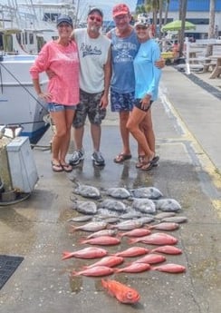 Blackbelly Rosefish, Triggerfish, Vermillion Snapper fishing in Panama City Beach, Florida