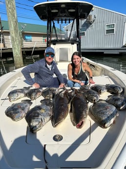 Cobia, Tripletail Fishing in Boothville-Venice, Louisiana