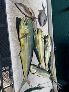 Fishing in Wellington, Florida