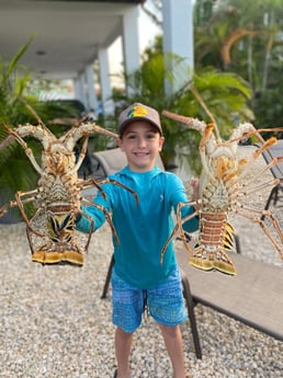 Lobster Fishing in Placida, Florida