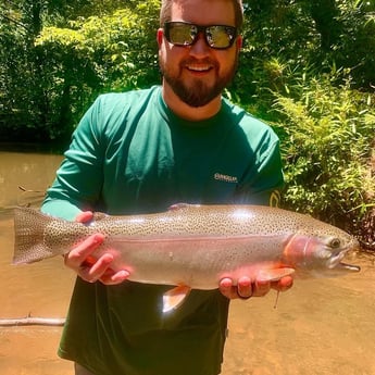 Rainbow Trout fishing in Blue Ridge, Georgia