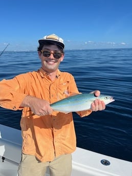 Yellowtail Amberjack Fishing in Jupiter, Florida