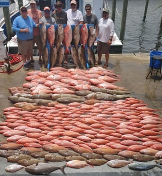 Mutton Snapper, Triggerfish, Vermillion Snapper fishing in Panama City Beach, Florida