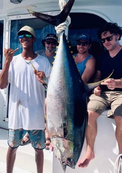 Yellowfin Tuna fishing in Quepos, Provincia de Puntarenas