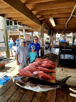 Cobia, Red Snapper Fishing in Boothville-Venice, LA, USA