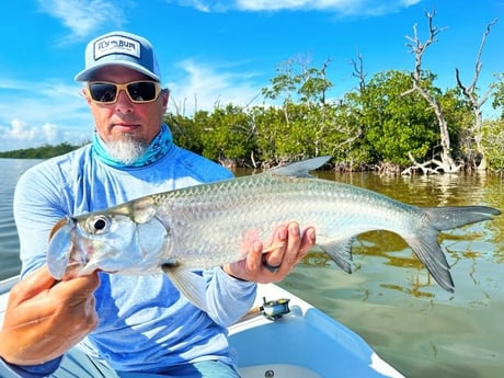 Tarpon Fishing in Tavernier, Florida