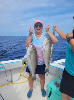 Tilefish Fishing in Key Largo, Florida