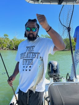 Speckled Trout Fishing in Naples, Florida